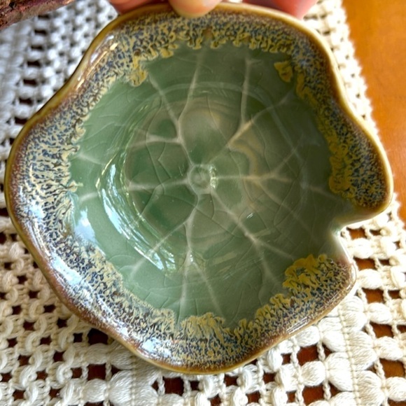 NEW Windowsill SUCCULENT 4" Anthropologie - Picture 5 of 13